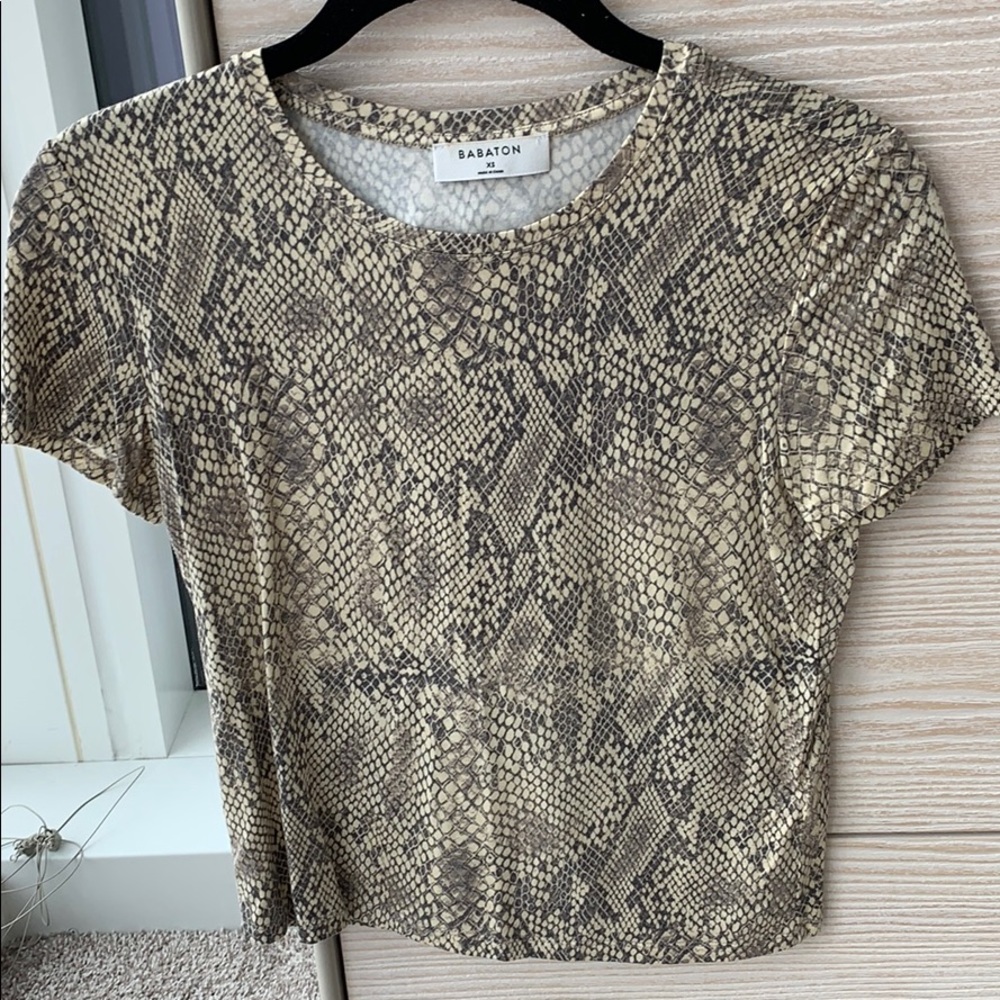 Aritzia cropped t shirt
